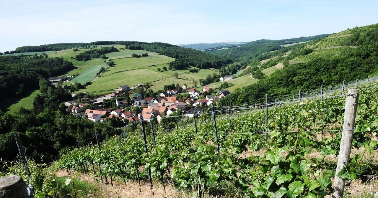 Weingut Hees - Landgasthof Zum Jaeger Aus Kurpfalz Auen Esterno foto
