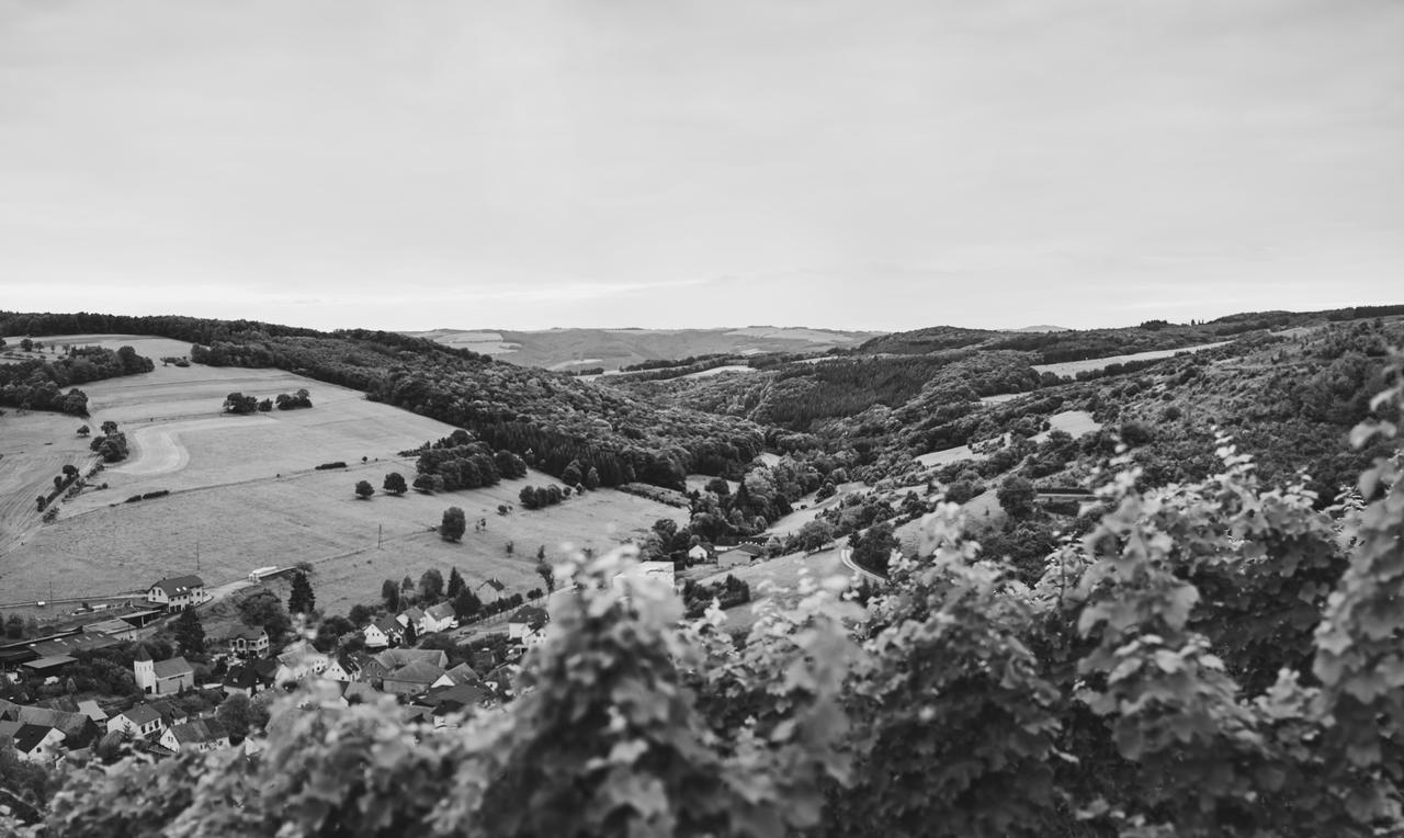 Weingut Hees - Landgasthof Zum Jaeger Aus Kurpfalz Auen Esterno foto